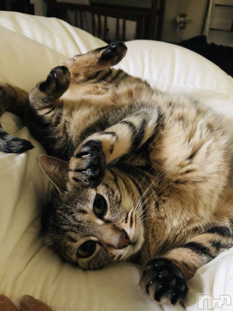 ��ˬ����Х��顦�����CLUB K����Prologue��(����֥���) �������12��8���̥�֥����������❣️��