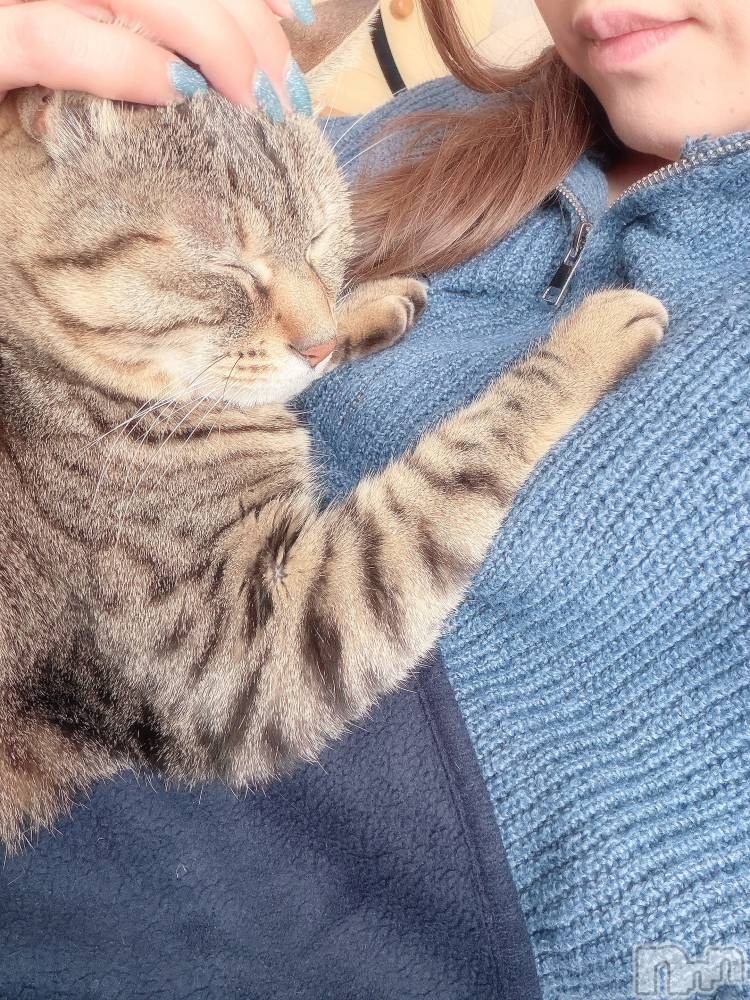 ��ˬ����Х��顦�����CLUB K����Prologue��(����֥���) �������1��26���̥�֥����������❣️��