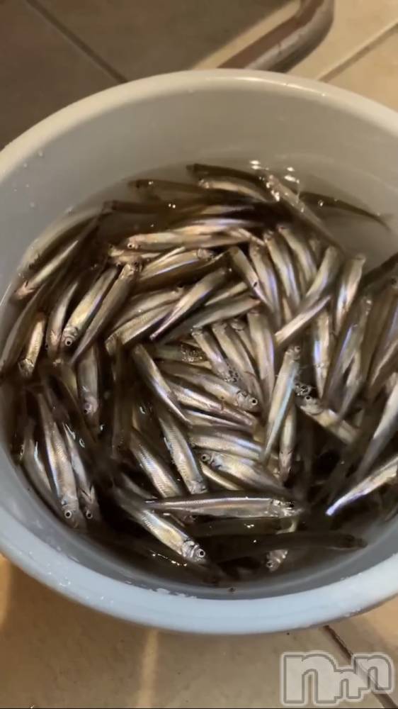 ��ˬ����Х��顦�����CLUB K����Prologue��(����֥���) �������1��20���̥�֥�����1��20�� 21��12ʬ�Υ֥�����