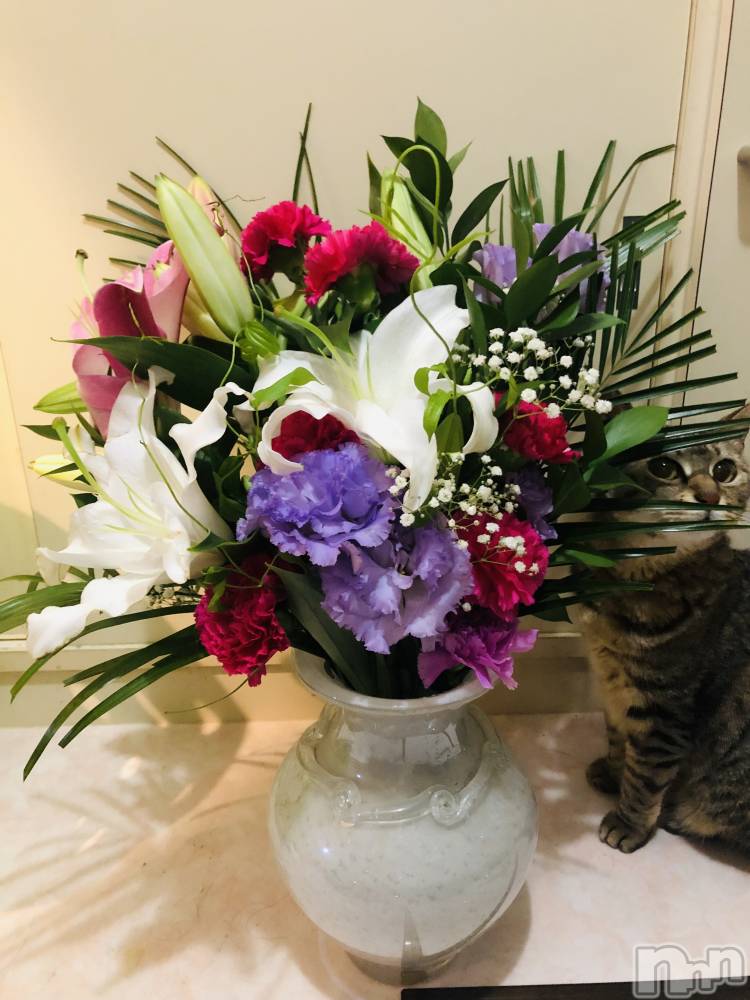 ��ˬ����Х��顦�����CLUB K����Prologue��(����֥���) �������8��4���̥�֥�����8��4�� 20��12ʬ�Υ֥�����