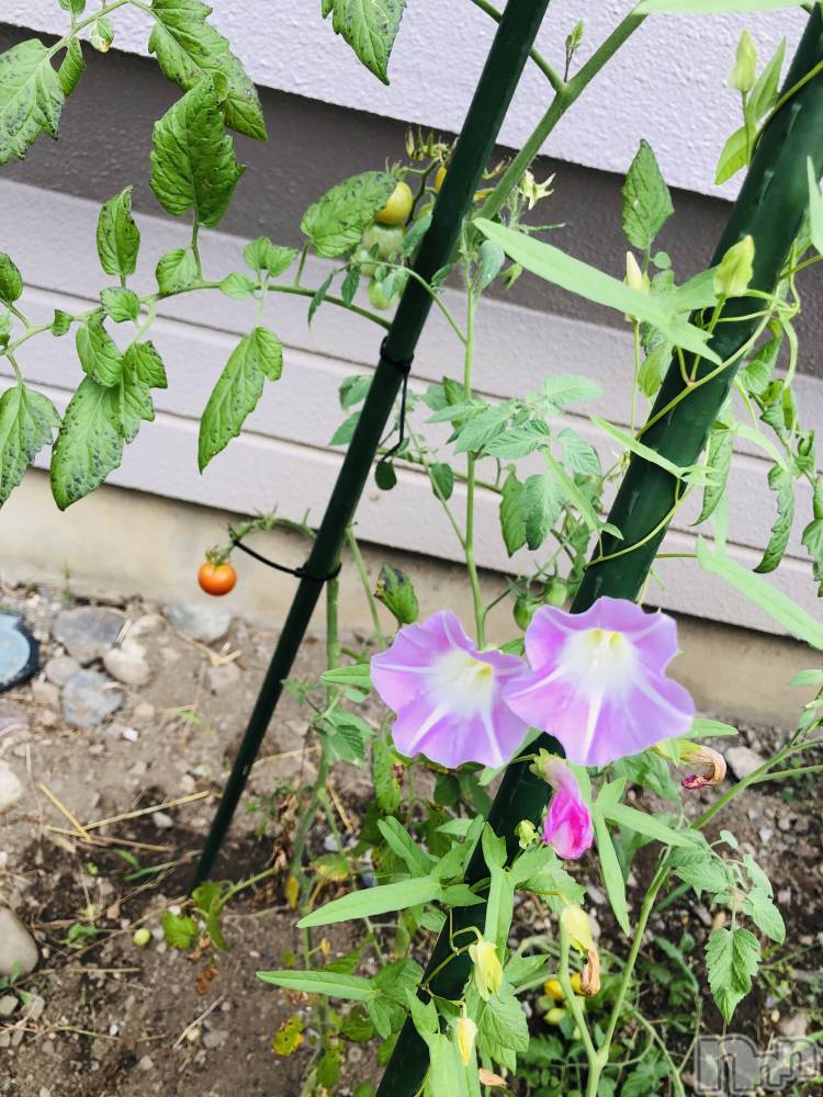 ��ˬ����Х��顦�����CLUB K����Prologue��(����֥���) �������9��17���̥�֥�����9��17�� 23��54ʬ�Υ֥�����