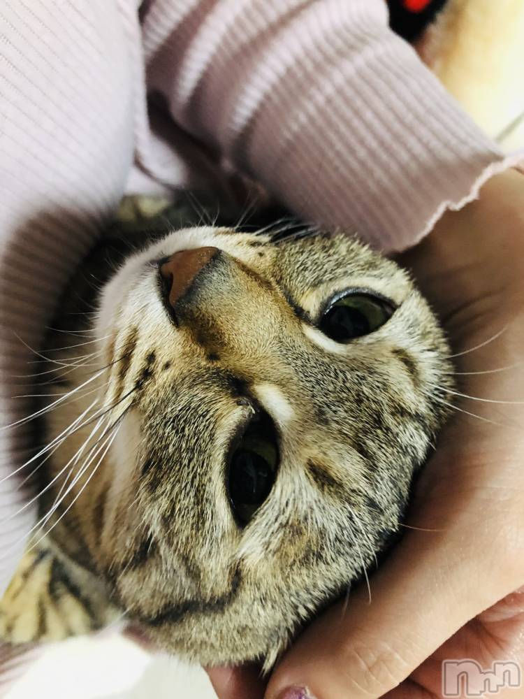 ��ˬ����Х��顦�����CLUB K����Prologue��(����֥���) �������5��31���̥�֥�����20��Ⱦ�ж�❣️��