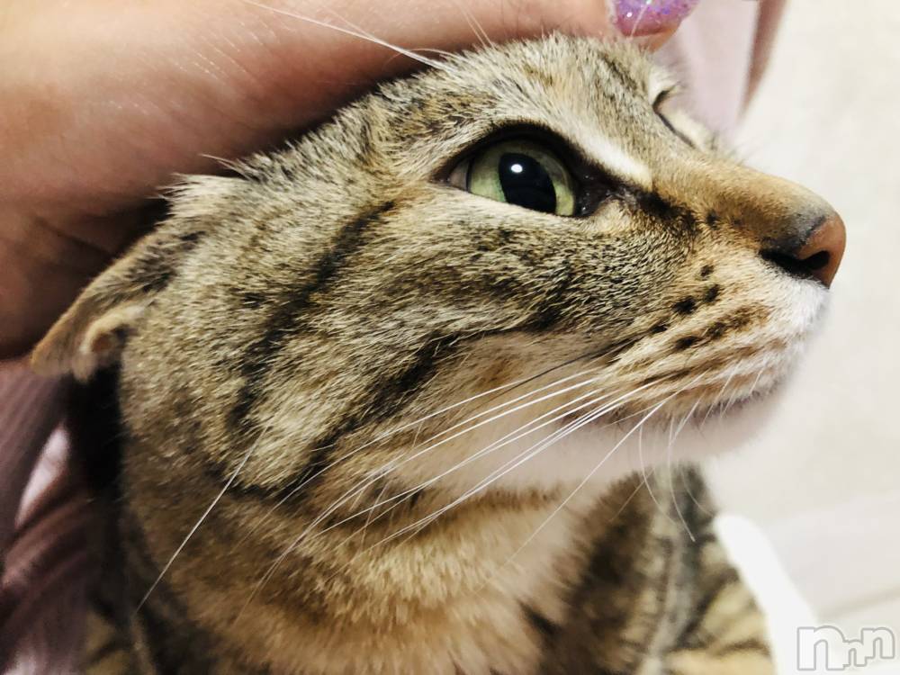 ��ˬ����Х��顦�����CLUB K����Prologue��(����֥���) �������6��4���̥�֥���������·͜·ᰔᩚ��