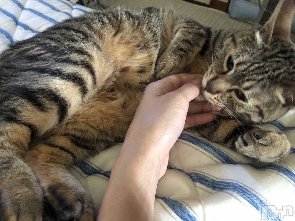 ��ˬ����Х��顦�����CLUB K����Prologue��(����֥���) �������11��1���̥�֥�����11��1�� 21��11ʬ�μ̥�֥�����