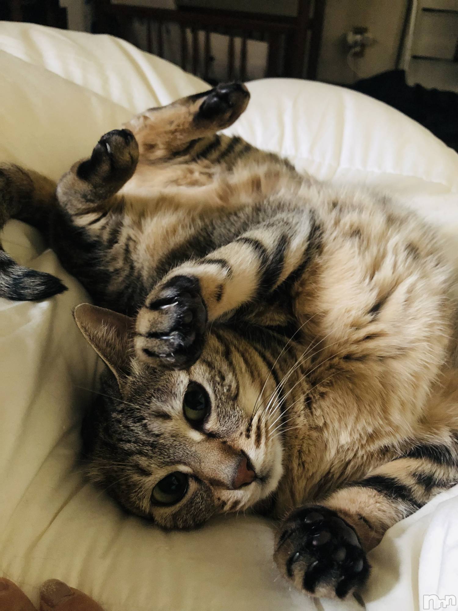 ��ˬ����Х��顦�����CLUB K����Prologue��(����֥���) ��2025ǯ12��8���̥�֥����������❣️��