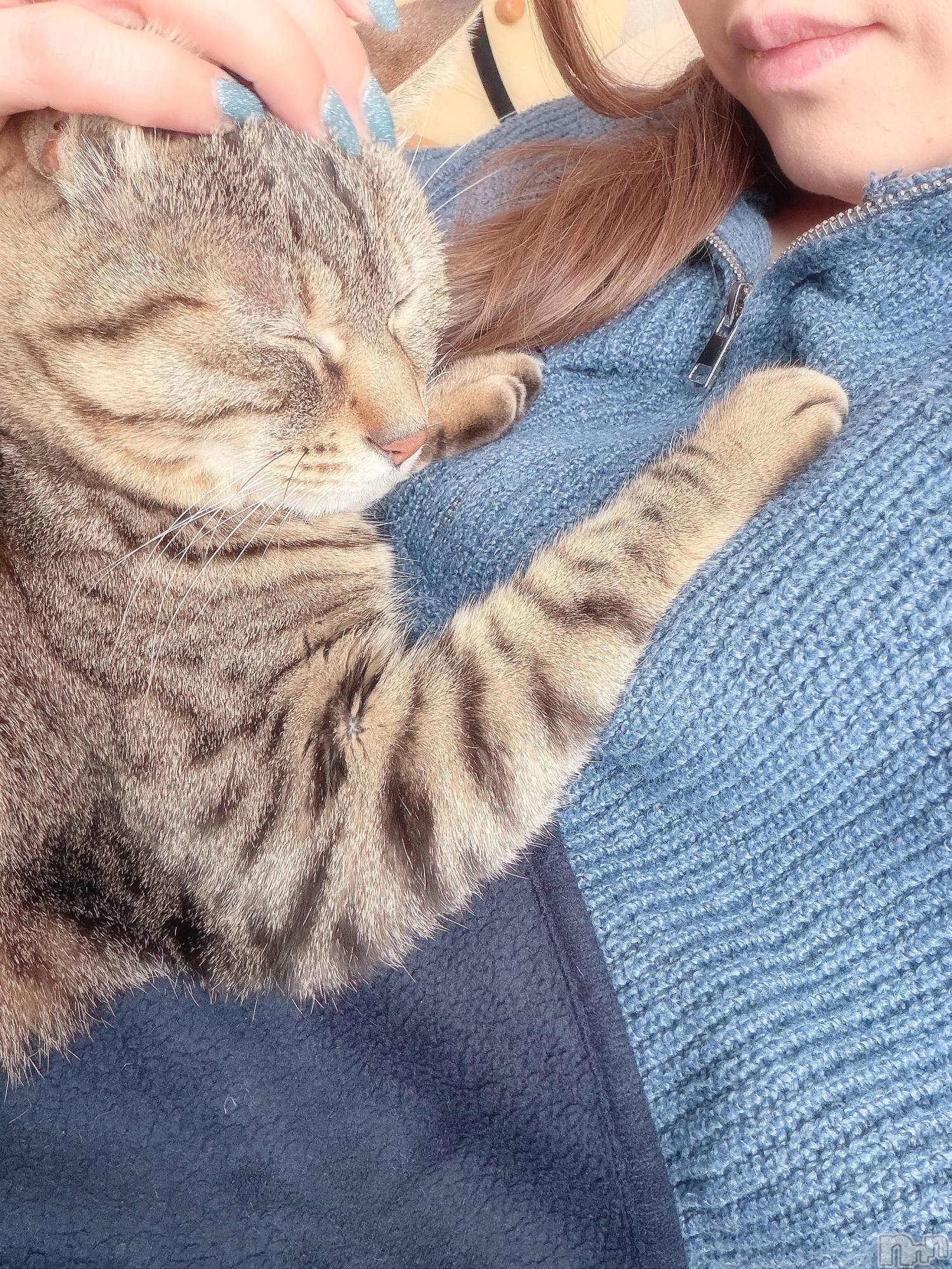 ��ˬ����Х��顦�����CLUB K����Prologue��(����֥���) ��2026ǯ1��26���̥�֥����������❣️��