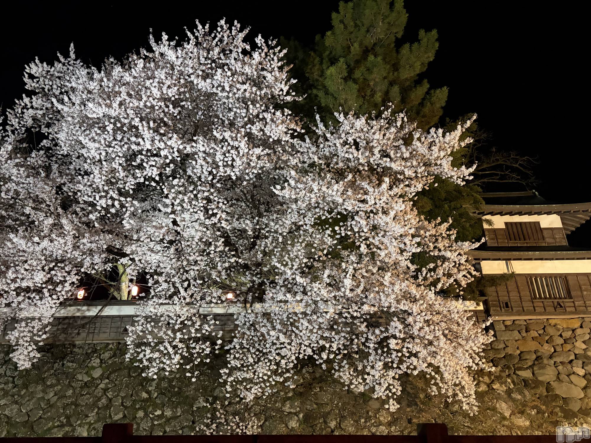 ��ˬ����Х��顦�����CLUB K����Prologue��(����֥���) ��2026ǯ4��8���̥�֥���������🌸��