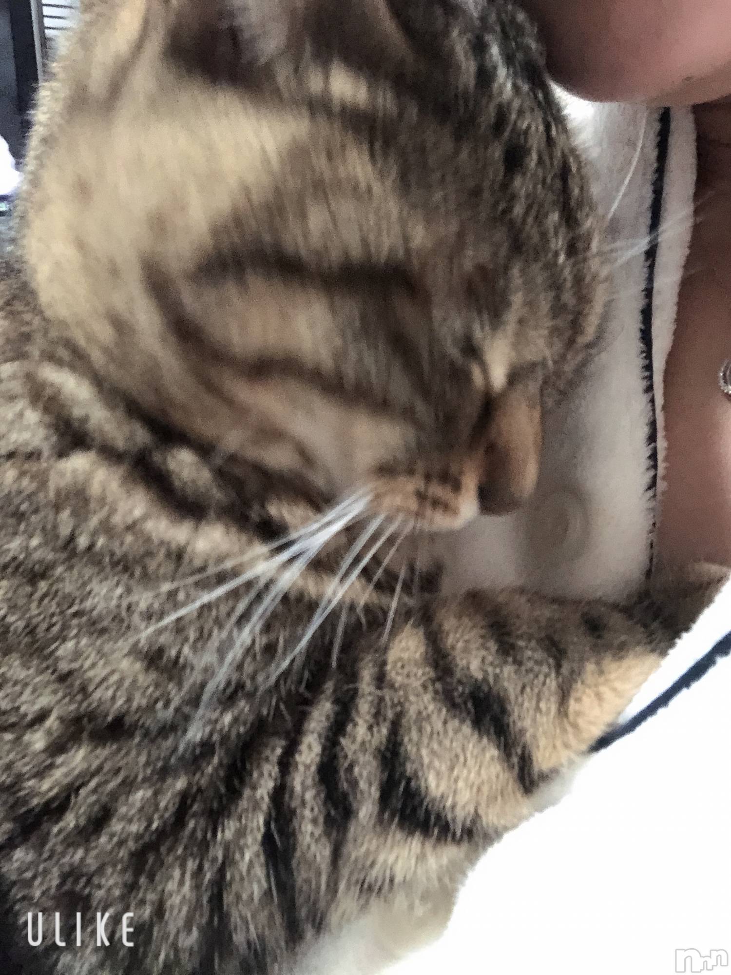 ��ˬ����Х��顦�����CLUB K����Prologue��(����֥���) ��2024ǯ1��17���̥�֥�����1��17�� 21��06ʬ�Υ֥�����