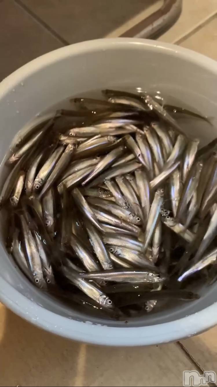 ��ˬ����Х��顦�����CLUB K����Prologue��(����֥���) ��2024ǯ1��20���̥�֥�����1��20�� 21��12ʬ�Υ֥�����