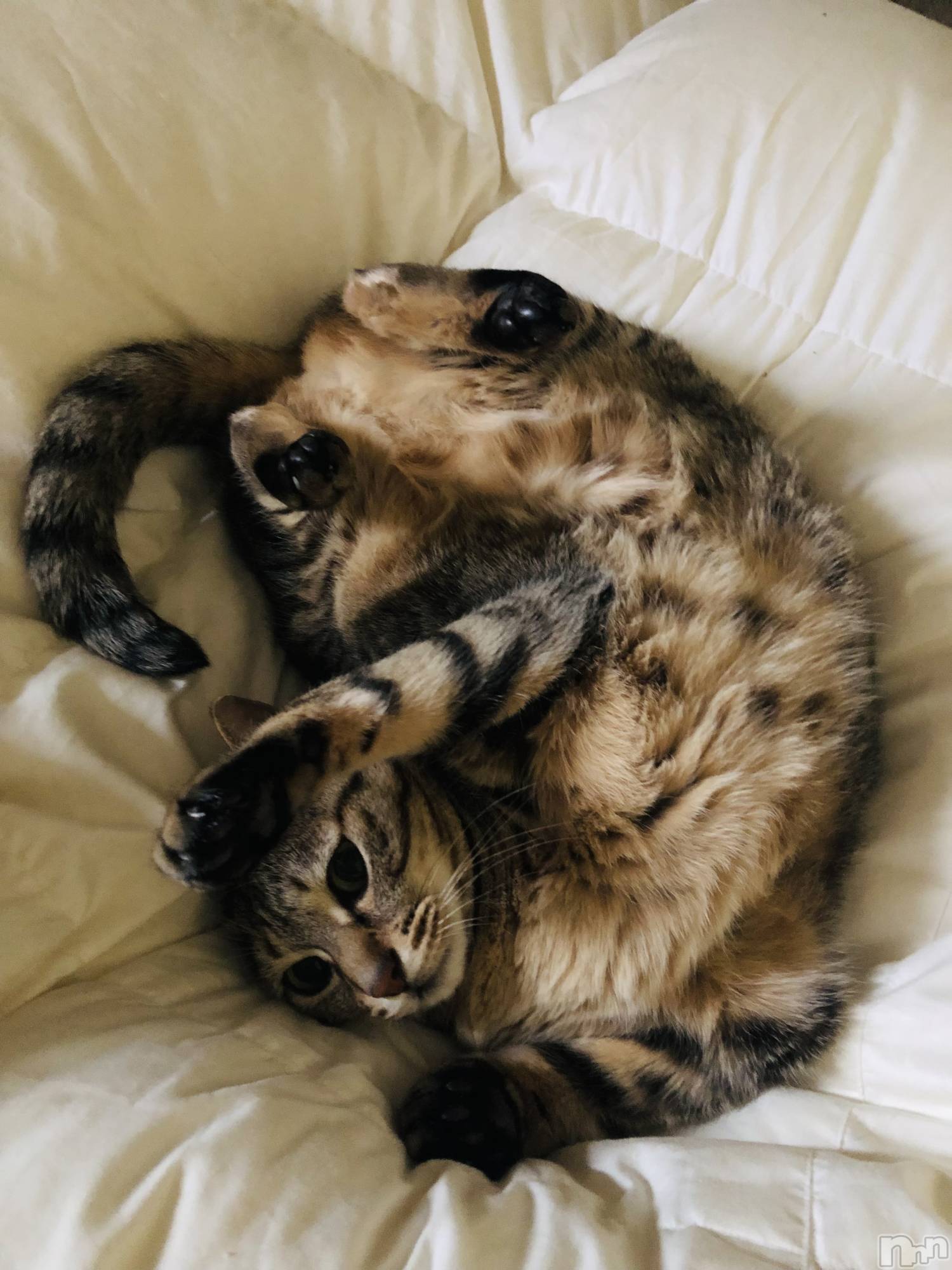 ��ˬ����Х��顦�����CLUB K����Prologue��(����֥���) ��2024ǯ10��24���̥�֥�����10��24�� 20��05ʬ�Υ֥�����