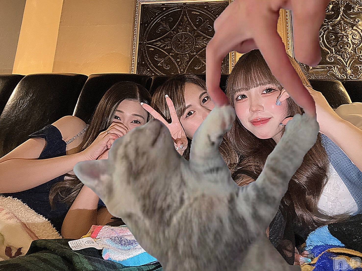 ��ˬ����Х��顦�����CLUB K����Prologue��(����֥���) ��2024ǯ11��27���̥�֥����֤椺�ϻᶴ�ޤ�Ƥޤ�w��