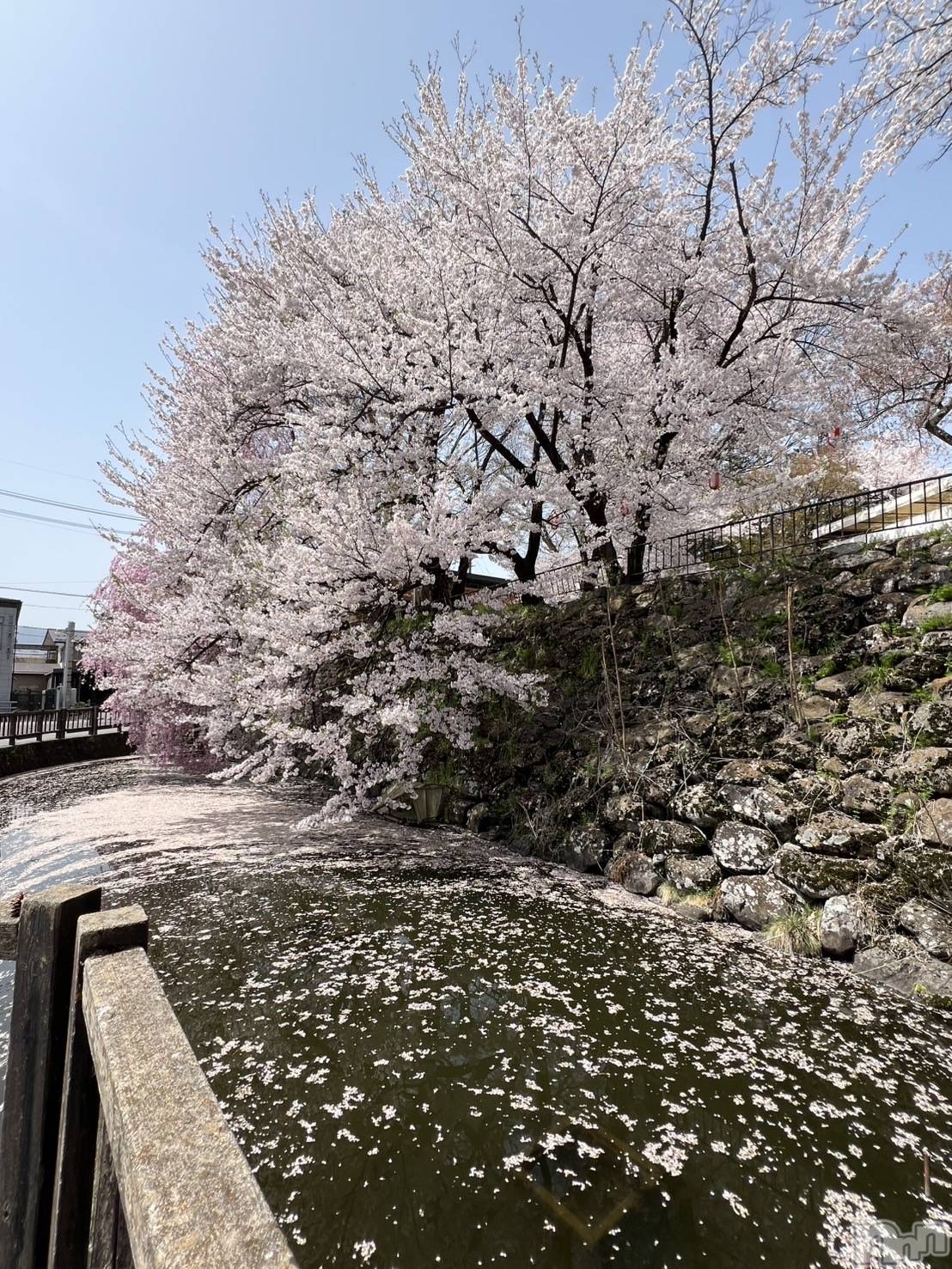 ��ˬ����Х��顦�����CLUB K����Prologue��(����֥���) ��2025ǯ4��23���̥�֥����ֺ�����❣️��