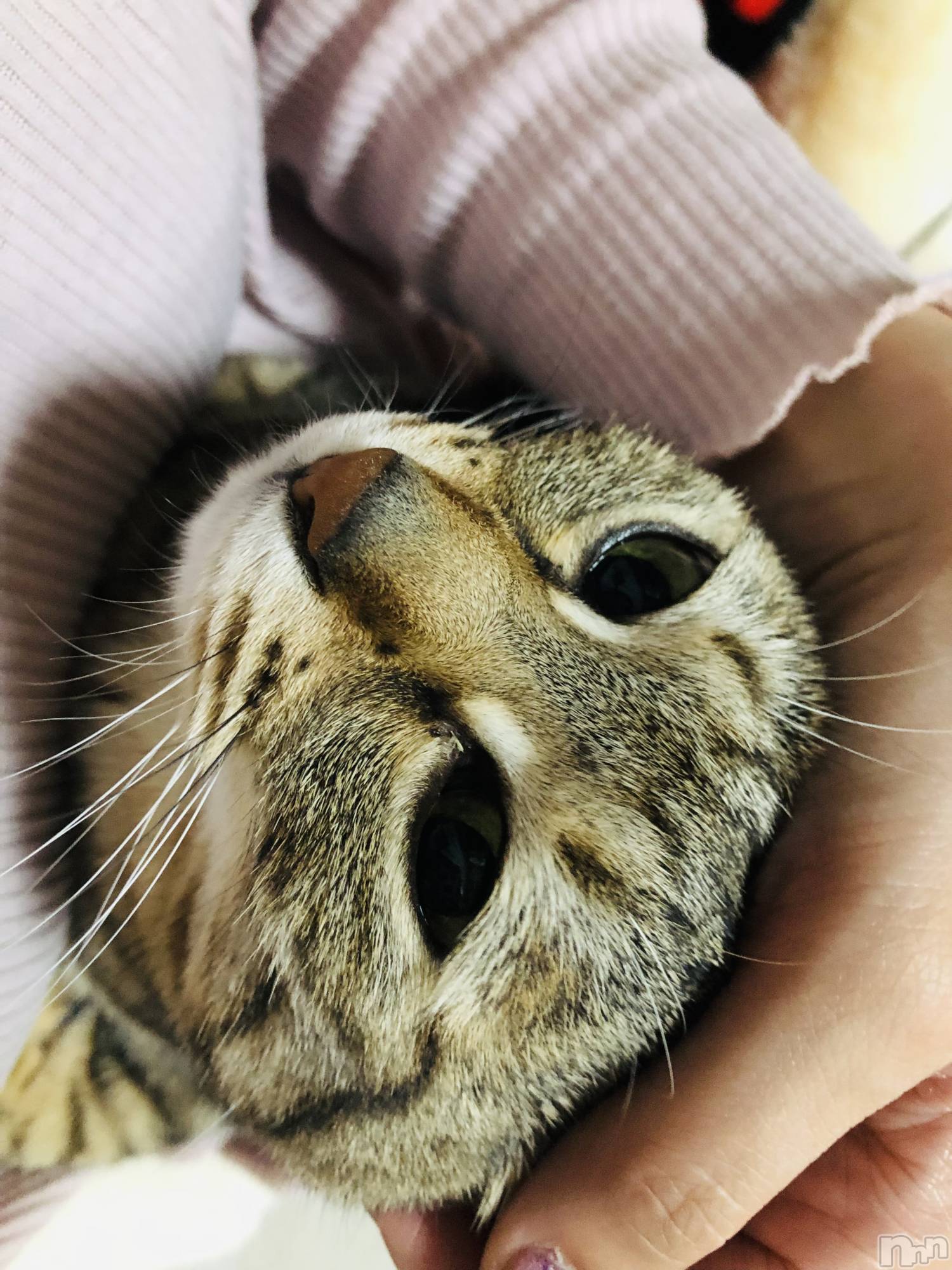 ��ˬ����Х��顦�����CLUB K����Prologue��(����֥���) ��2025ǯ5��31���̥�֥�����20��Ⱦ�ж�❣️��