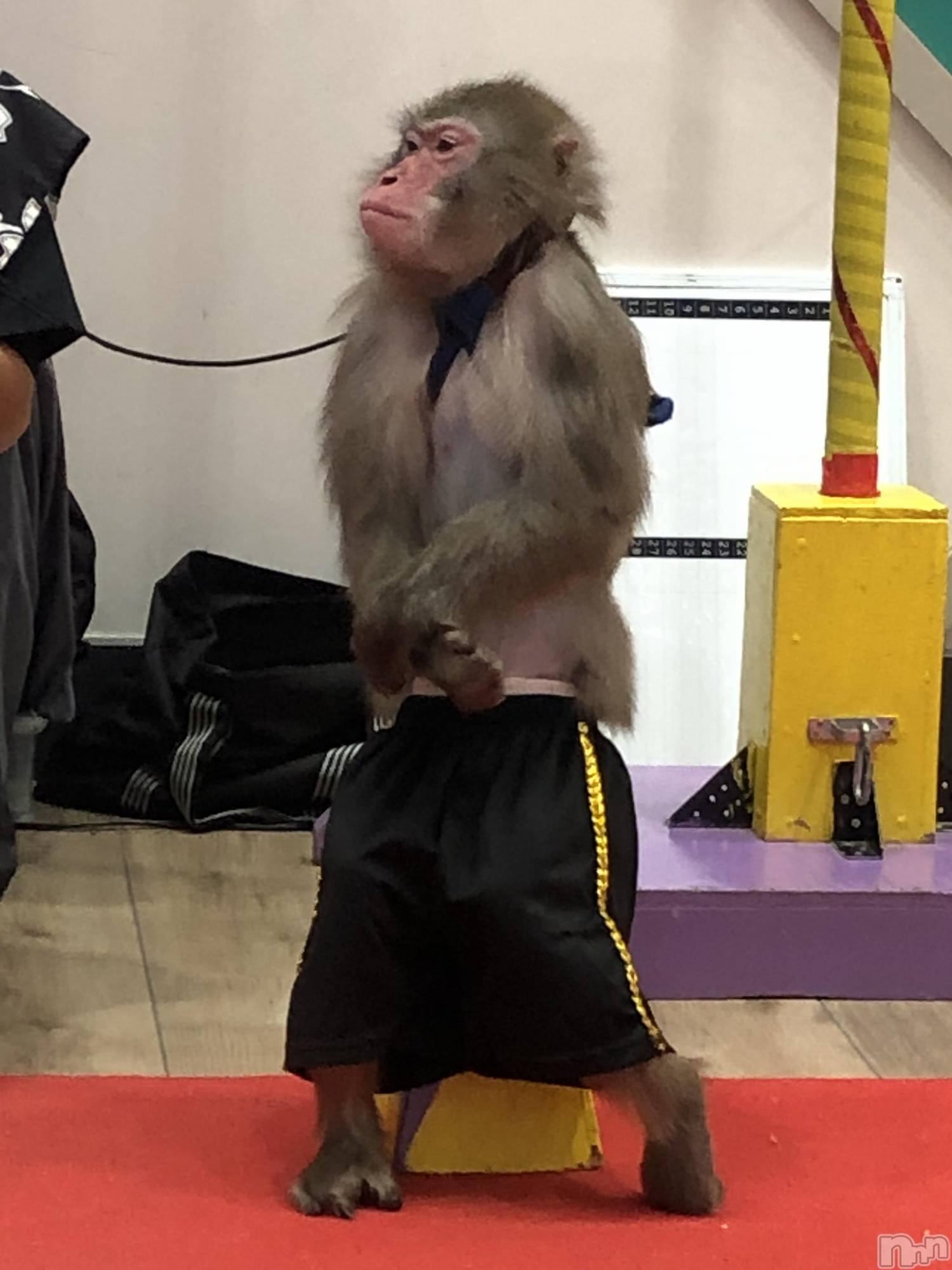 ��ˬ����Х��顦�����CLUB K����Prologue��(����֥���) ��2025ǯ6��10���̥�֥����֤����🙈︎💕︎��