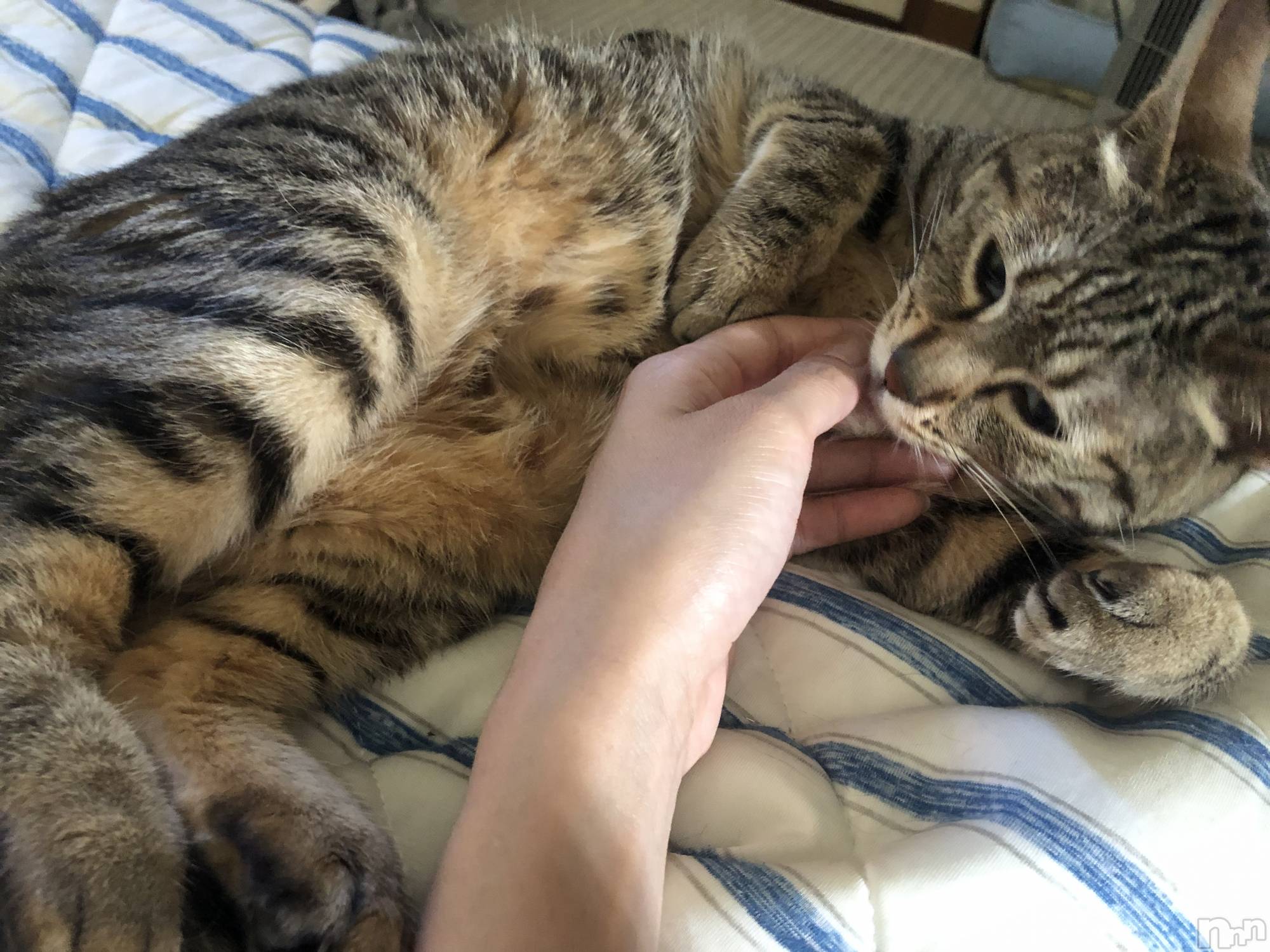 ��ˬ����Х��顦�����CLUB K����Prologue��(����֥���) ��2023ǯ11��1���̥�֥�����11��1�� 21��11ʬ�μ̥�֥�����