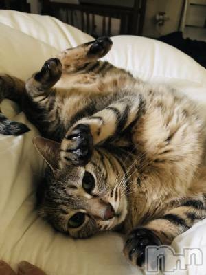 ��ˬ����Х��顦�����CLUB K����Prologue��(����֥���) �����(19)��12��8���̥�֥����������❣️��