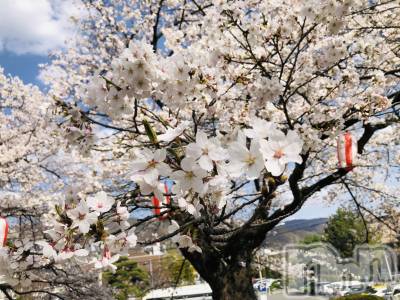 ��ˬ����Х��顦�����CLUB K����Prologue��(����֥���) �����(19)��4��14���̥�֥�����4��14�� 21��01ʬ�Υ֥�����