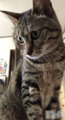 ��ˬ����Х��顦�����CLUB K����Prologue��(����֥���) �����(19)��7��20���̥�֥�����7��20�� 20��21ʬ�Υ֥�����