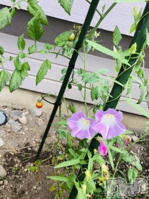 ��ˬ����Х��顦�����CLUB K����Prologue��(����֥���) �����(19)��9��17���̥�֥�����9��17�� 23��54ʬ�Υ֥�����