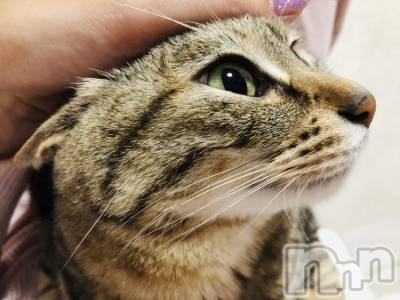 ��ˬ����Х��顦�����CLUB K����Prologue��(����֥���) �����(19)��6��4���̥�֥���������·͜·ᰔᩚ��