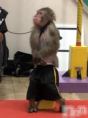 ��ˬ����Х��顦�����CLUB K����Prologue��(����֥���) �����(19)��6��10���̥�֥����֤����🙈︎💕︎��