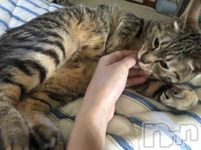 ��ˬ����Х��顦�����CLUB K����Prologue��(����֥���) �����(19)��11��1���̥�֥�����11��1�� 21��11ʬ�μ̥�֥�����