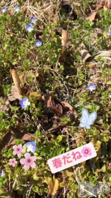 �դ��ͤ�ʚ🌸ɞ