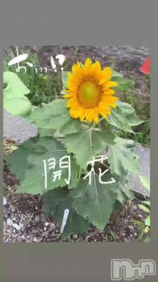�ޤ����Ρ���