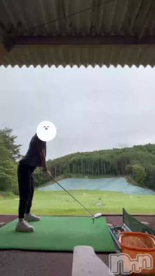 �������Υɥ饤�С�⛳️�ɤ���www
