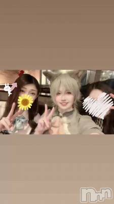 Ƭ�����⸜🌷︎⸝‍w