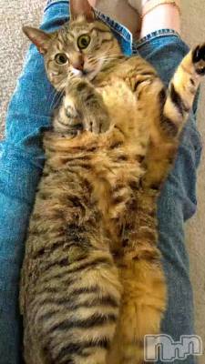 �ޤ�ǭ�����Ǥ����ʤ���w