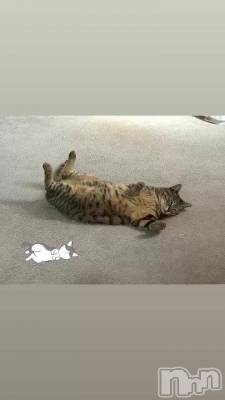 ������ǭ�����·͜·ᰔᩚ