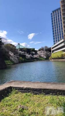 ���ʲ��Ȥ��ä���w