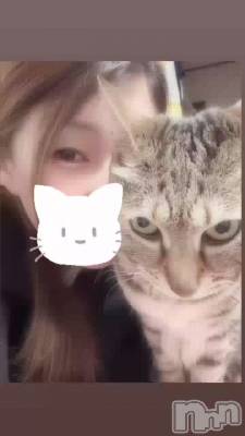 �����Τˤ��🐱