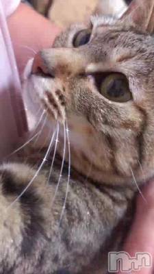 ���������❣️