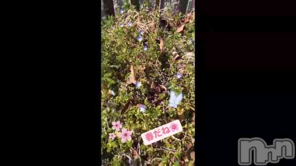 �ֽդ��ͤ�ʚ🌸ɞ��