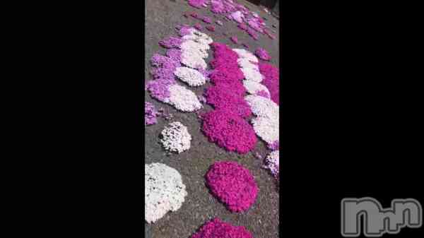 �����✨��