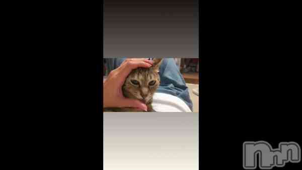 ������♡��