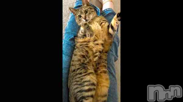 �֤ޤ�ǭ�����Ǥ����ʤ���w��