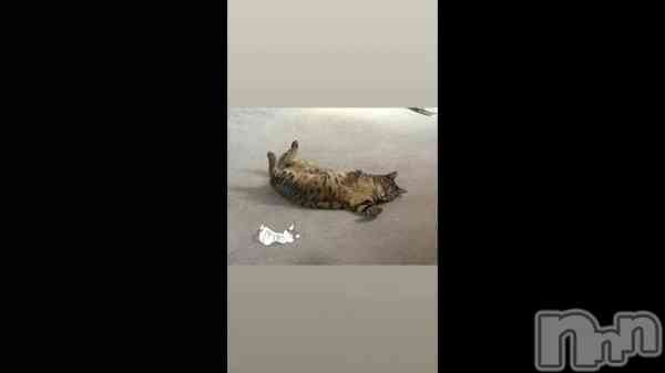 �֤�����ǭ�����·͜·ᰔᩚ��