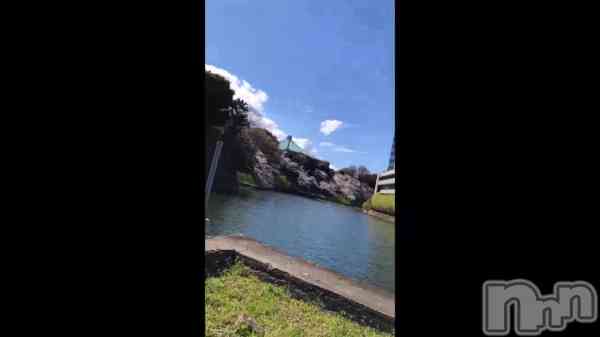 �ֶ��ʲ��Ȥ��ä���w��