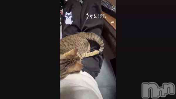 ��ǭ���뤢��www��