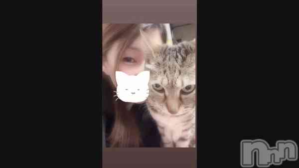 �֤����Τˤ��🐱��