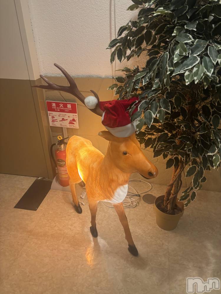 長岡デリヘル長岡人妻市(ナガオカヒトヅマイチ) めい★プルプルの唇&ロリ顔(31)の11月29日写メブログ「お腹が光っててかわいい」