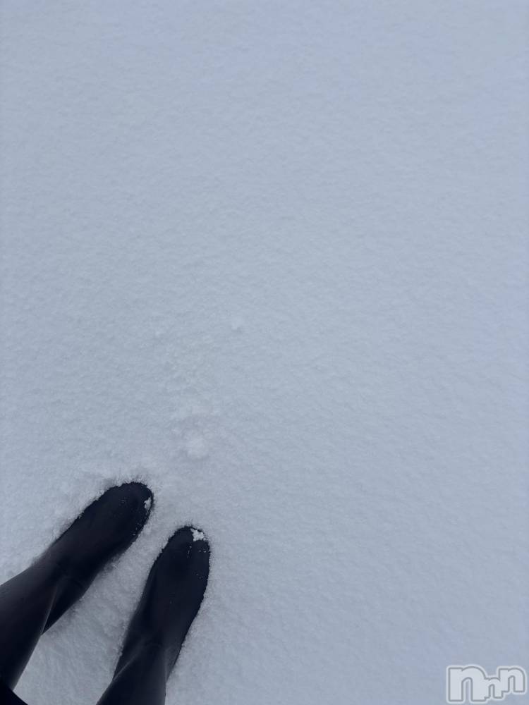 長岡デリヘル長岡人妻市(ナガオカヒトヅマイチ) めい★プルプルの唇&ロリ顔(31)の1月24日写メブログ「🌨️」