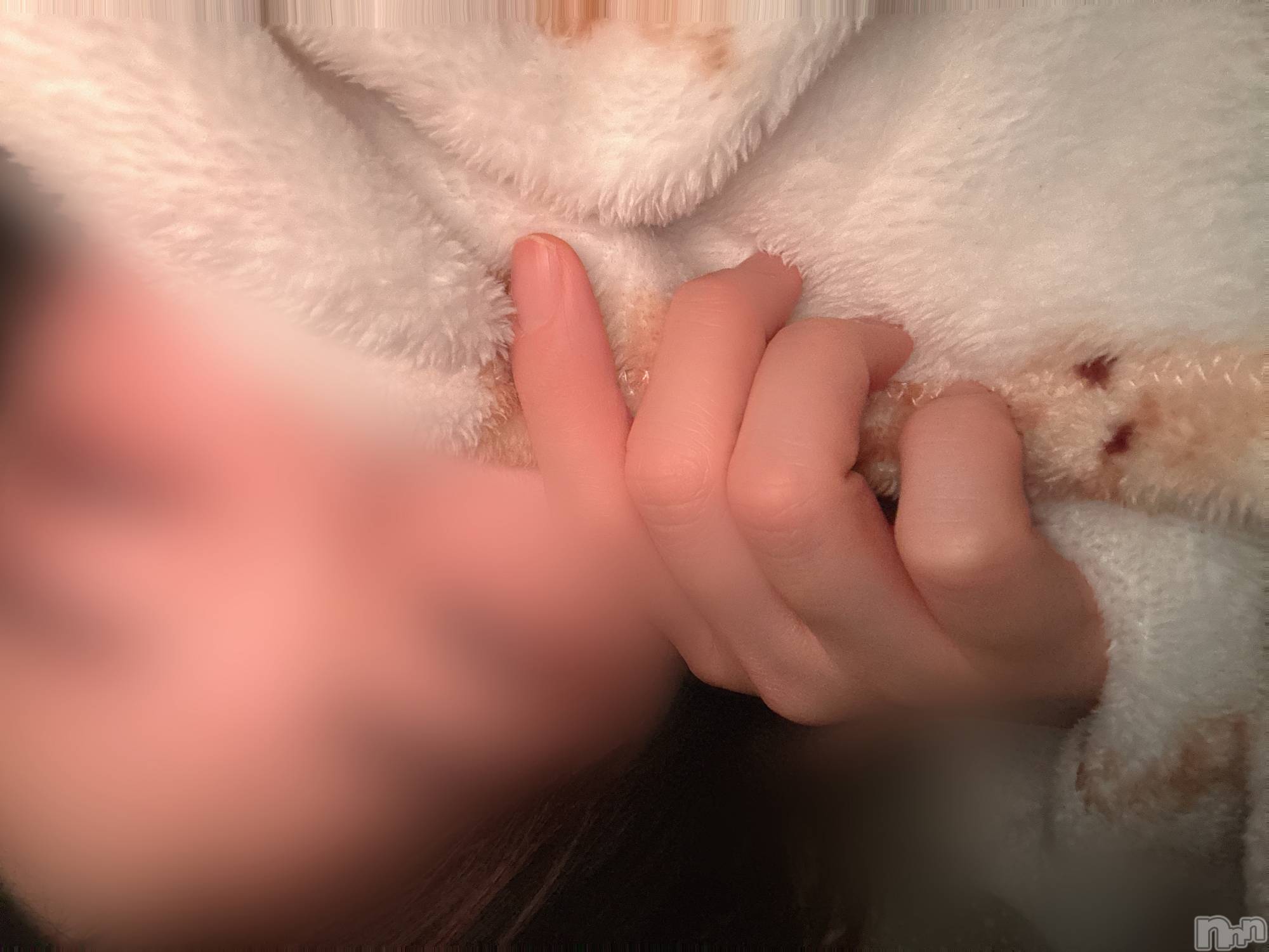 長岡人妻デリヘル長岡人妻市(ナガオカヒトヅマイチ)めい★プルプルの唇&ロリ顔(31)の2025年5月15日写メブログ「寝る前のおしゃべりって幸せだよね～」