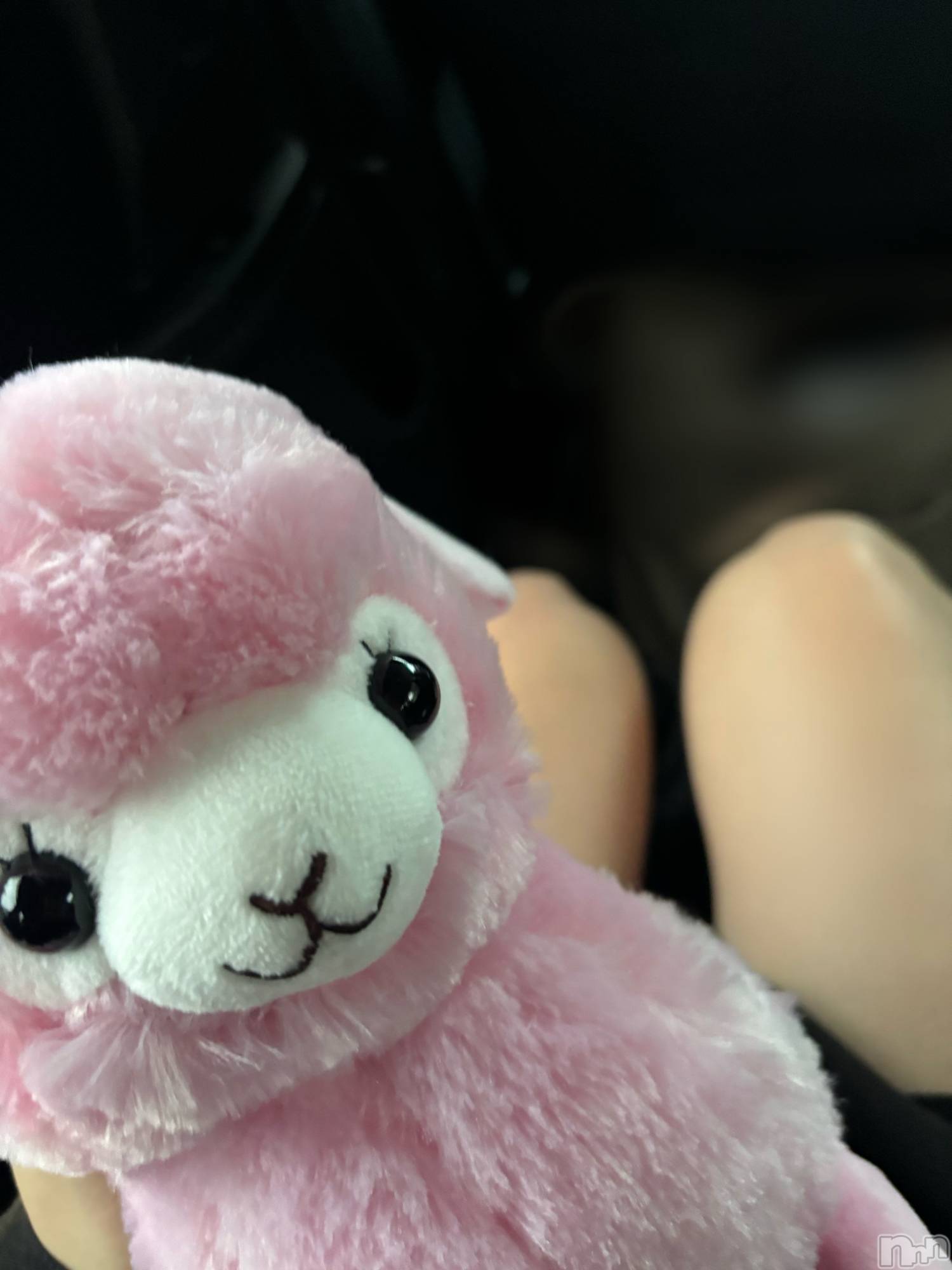 長岡デリヘル長岡人妻市(ナガオカヒトヅマイチ)めい★プルプルの唇&ロリ顔(31)の2025年10月18日写メブログ「ハイポキニウム」