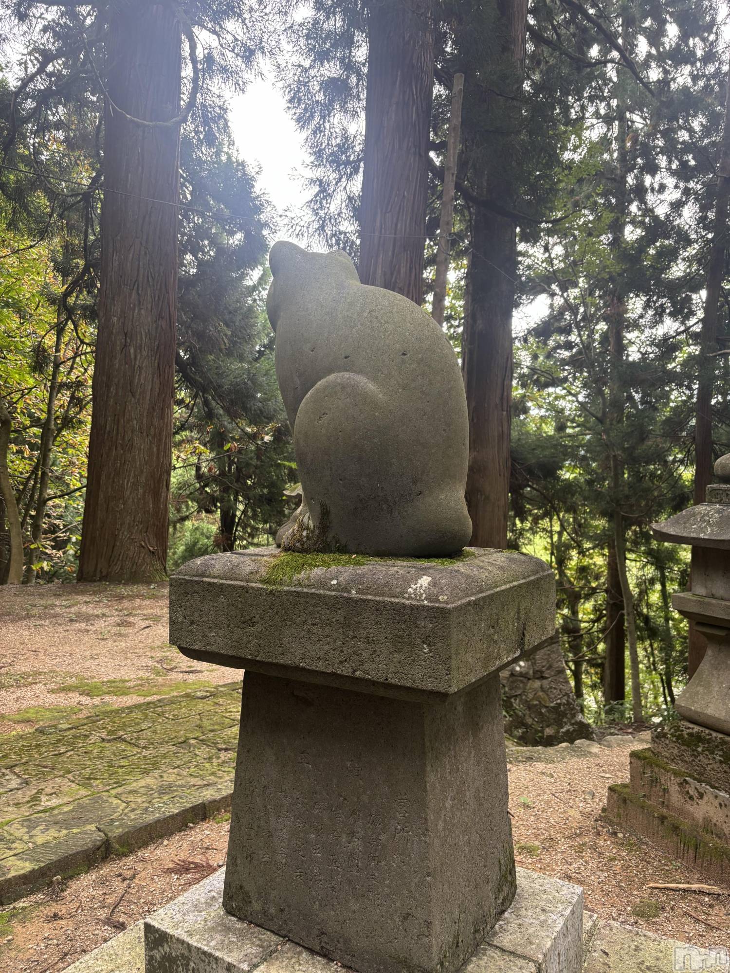 長岡デリヘル長岡人妻市(ナガオカヒトヅマイチ)めい★プルプルの唇&ロリ顔(31)の2025年10月22日写メブログ「ちがうね？」