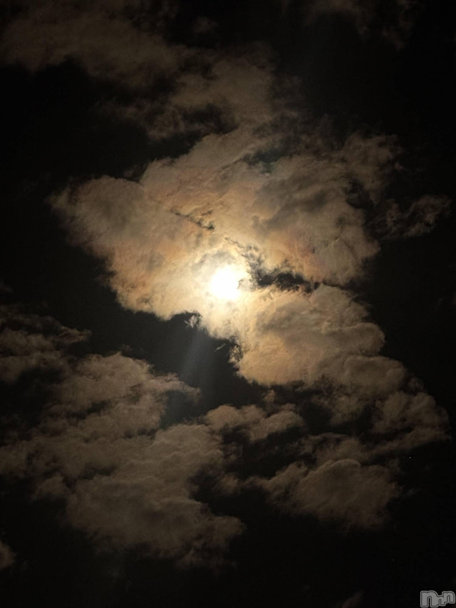 長岡デリヘル長岡人妻市(ナガオカヒトヅマイチ)めい★プルプルの唇&ロリ顔(31)の2025年11月7日写メブログ「スーパー」