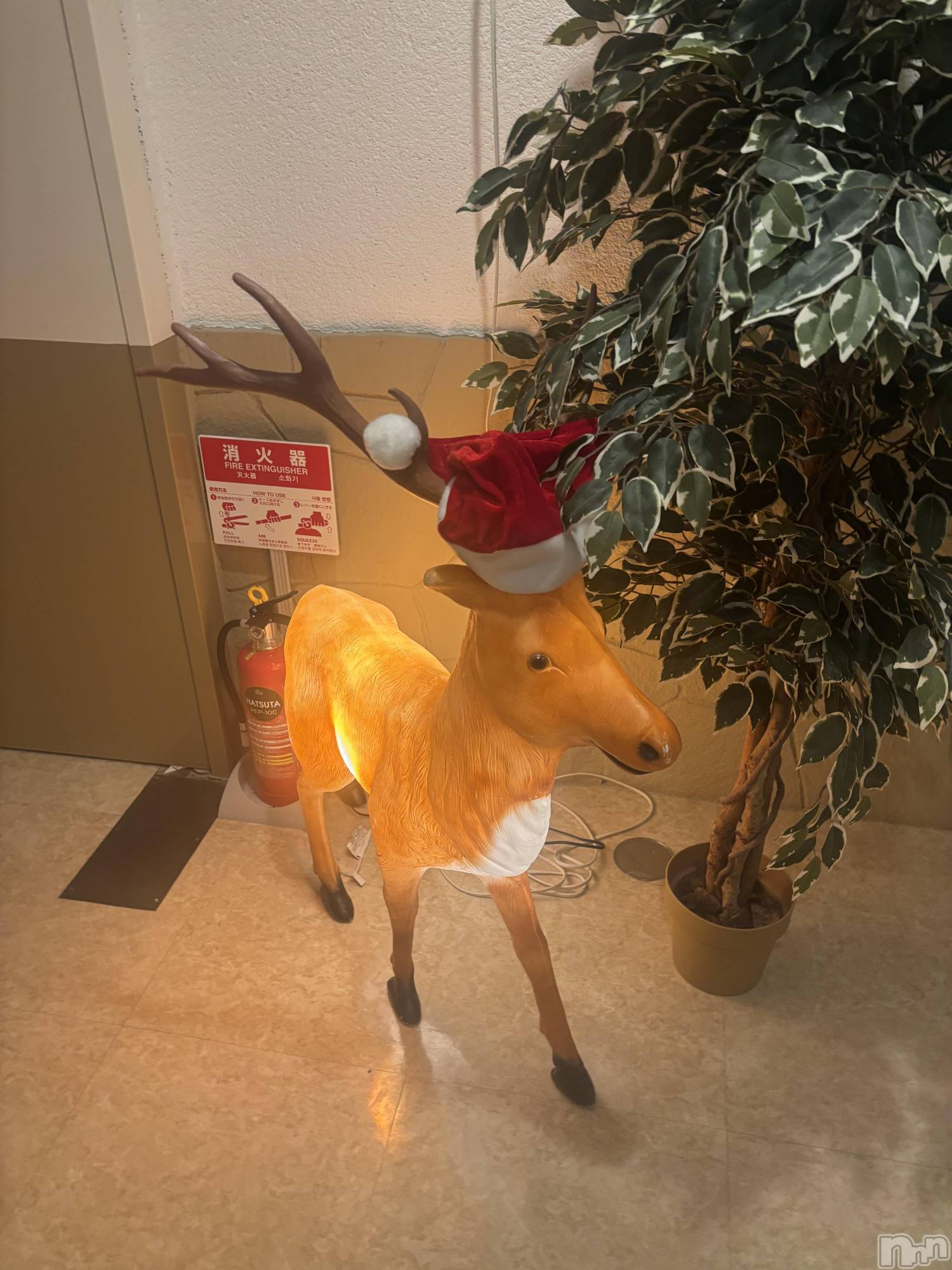 長岡デリヘル長岡人妻市(ナガオカヒトヅマイチ)めい★プルプルの唇&ロリ顔(31)の2025年11月29日写メブログ「お腹が光っててかわいい」